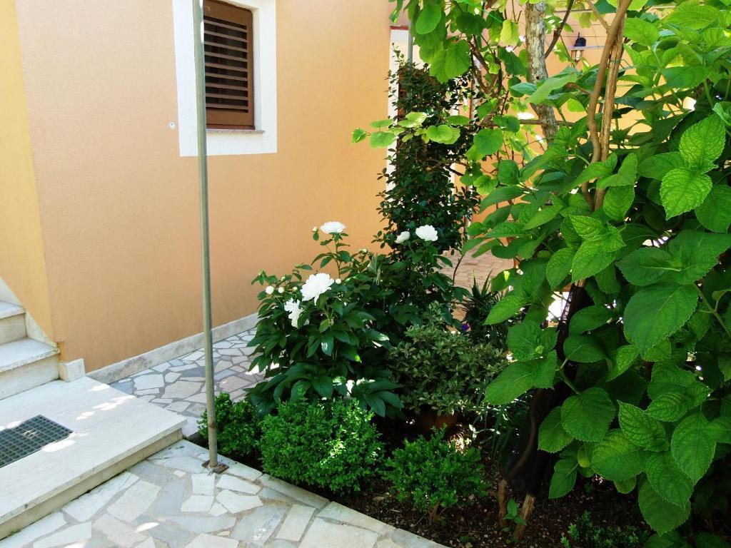 Apartments Beba Mali Lošinj Rom bilde