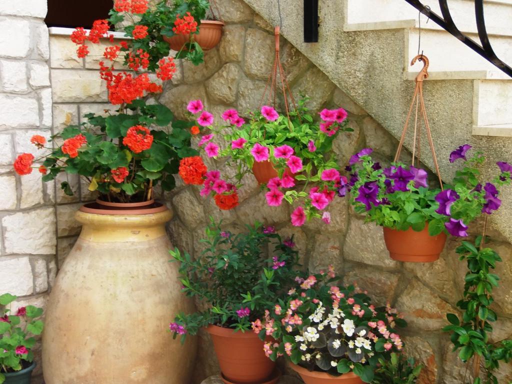 Apartments Beba Mali Lošinj Rom bilde