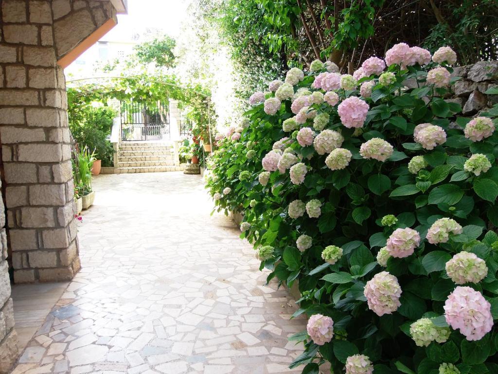 Apartments Beba Mali Lošinj Rom bilde