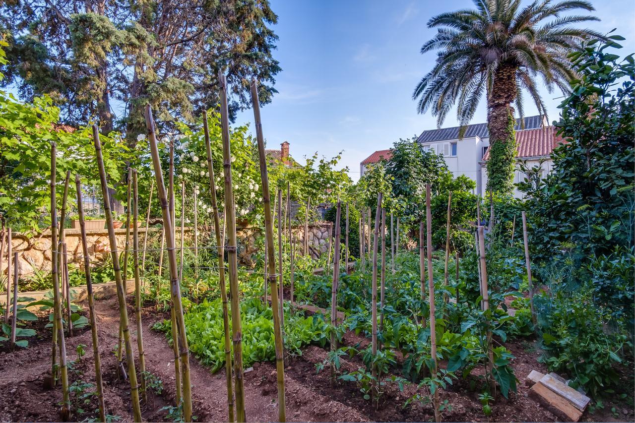 Apartments Beba Mali Lošinj Eksteriør bilde